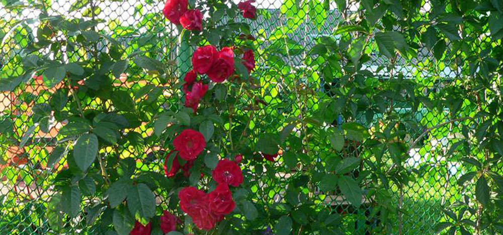 Садовая решётка